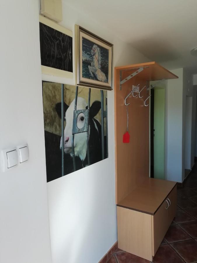Apartma Pr' Vok Lesce  Εξωτερικό φωτογραφία